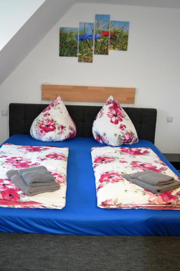 Pension-Gaestehaus Oberscheven Leipziger Neuseenland Kitzscher Buitenkant foto